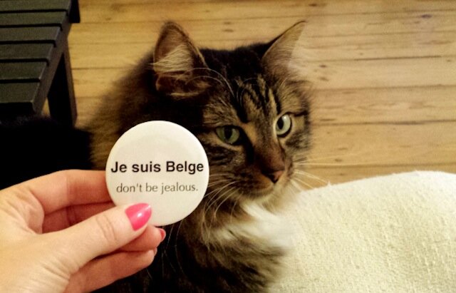 belgikïe - badge belge une fois